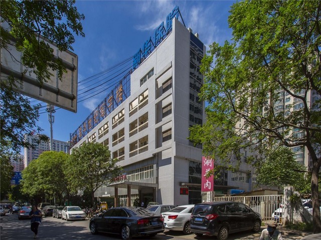 崇明公寓植物租赁维护